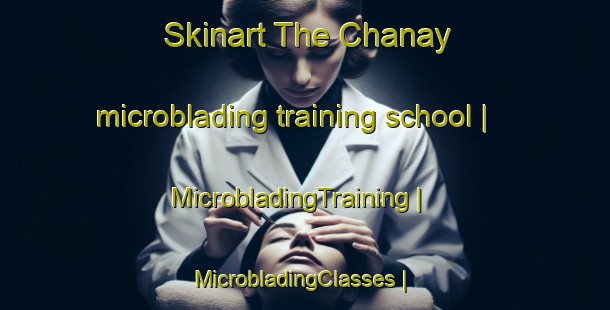 Skinart The Chanay microblading training school | MicrobladingTraining | MicrobladingClasses | SkinartTraining-France